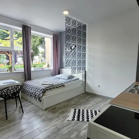 Apartament Centrum W Parku Przy Katedrze Nr 2 Kwidzyn Exterior photo